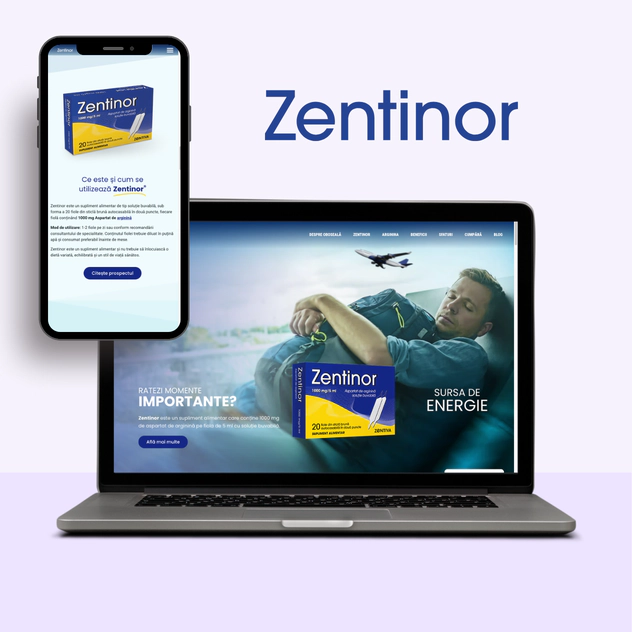 Zentinor Project Zentinor Project